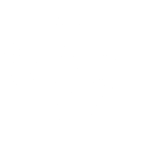 southern|DEMEANOR™️ Street Boutique