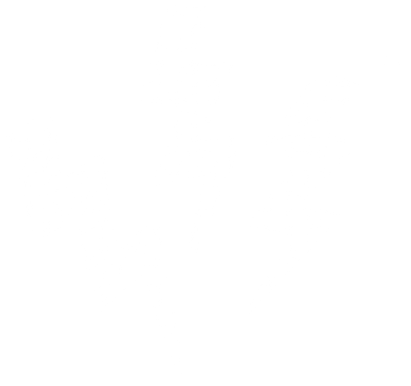 southern|DEMEANOR™️ Street Boutique